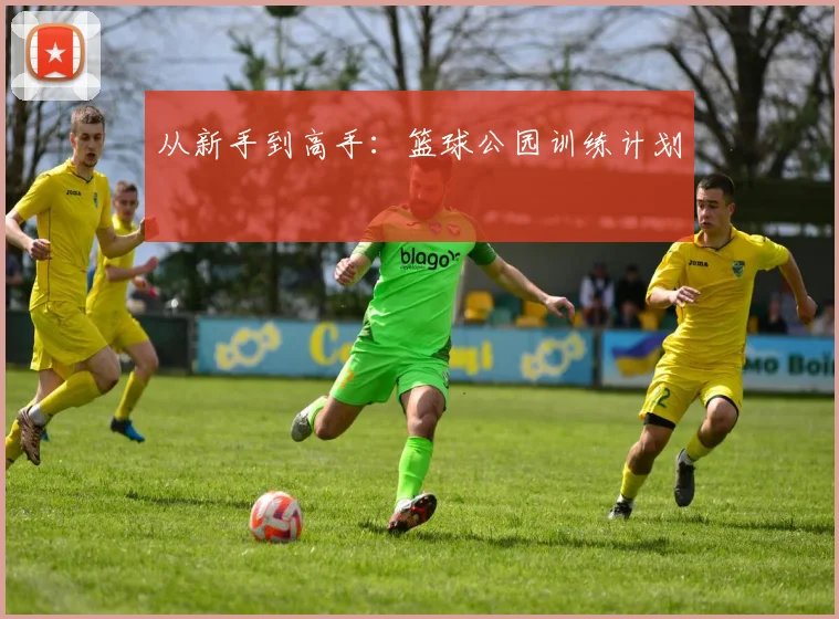 从新手到高手:篮球公园训练计划