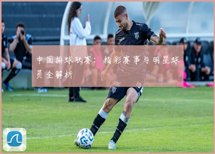 中国排球联赛：精彩赛事与明星球员全解析