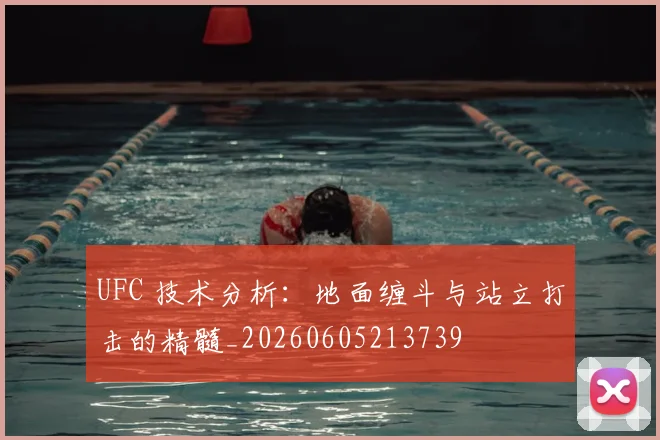 UFC 技术分析：地面缠斗与站立打击的精髓_20260605213739