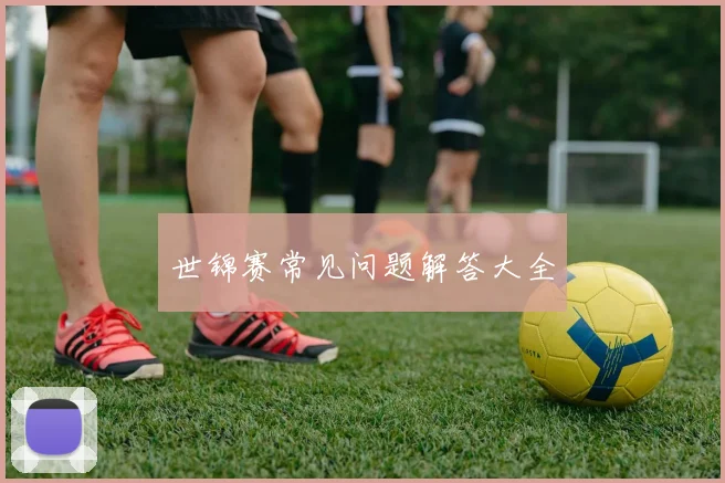 世锦赛常见问题解答大全
