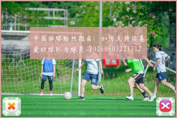 中国排球粉丝指南：如何支持你喜爱的球队与球员_20260603221312