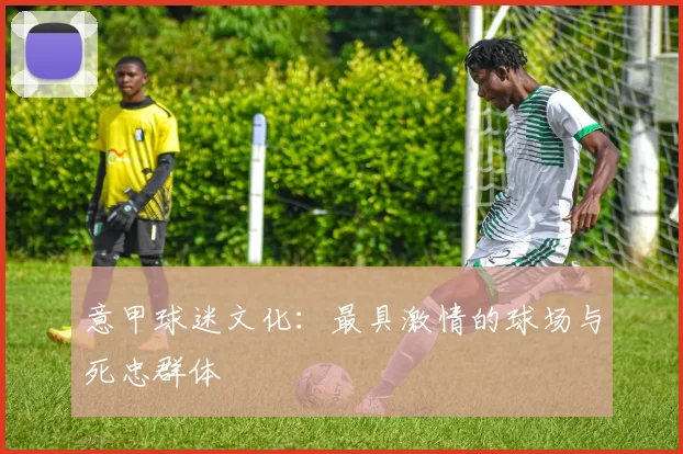 意甲球迷文化：最具激情的球场与死忠群体