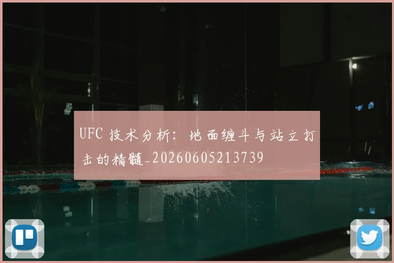 UFC 技术分析：地面缠斗与站立打击的精髓_20260605213739