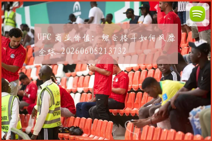 UFC 商业价值:综合格斗如何风靡全球_20260605213732